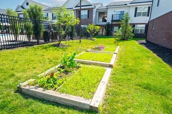 Backyard green lawn